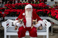 SantaPaws2025-0510