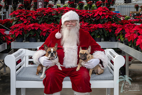 SantaPaws2025-0510