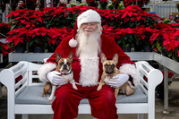 SantaPaws2025-0512