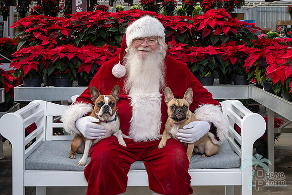 SantaPaws2025-0512