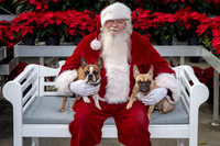 SantaPaws2025-0515