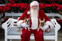 SantaPaws2025-0516