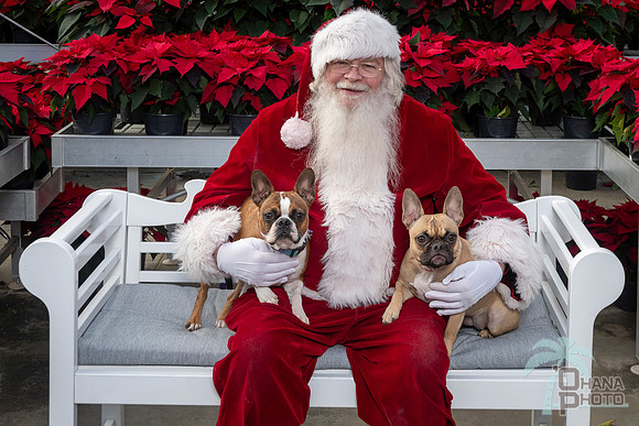 SantaPaws2025-0516