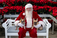 SantaPaws2025-0518