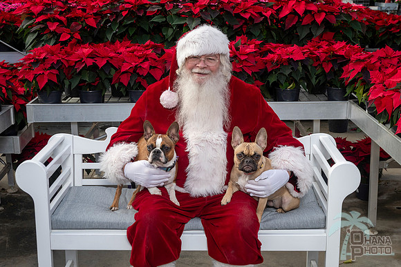 SantaPaws2025-0518