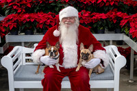 SantaPaws2025-0519