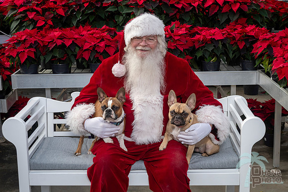 SantaPaws2025-0519
