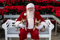 SantaPaws2025-0517