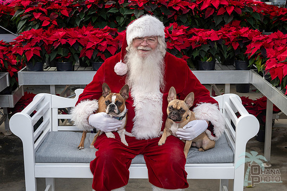 SantaPaws2025-0517