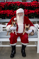 SantaPaws2025-0520
