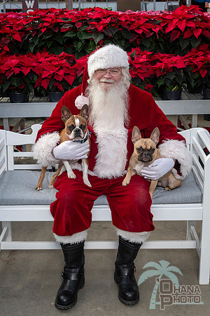 SantaPaws2025-0520
