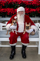 SantaPaws2025-0521