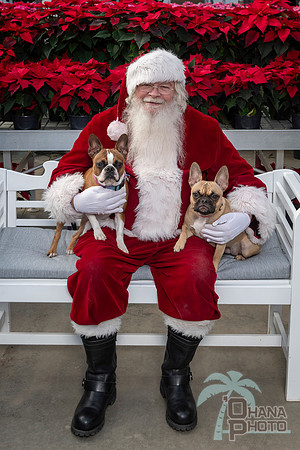 SantaPaws2025-0521