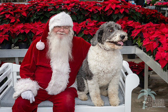 SantaPaws2025-0530