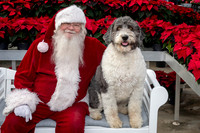 SantaPaws2025-0531