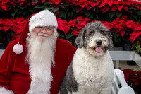SantaPaws2025-0533