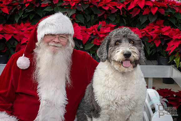 SantaPaws2025-0533