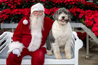 SantaPaws2025-0532