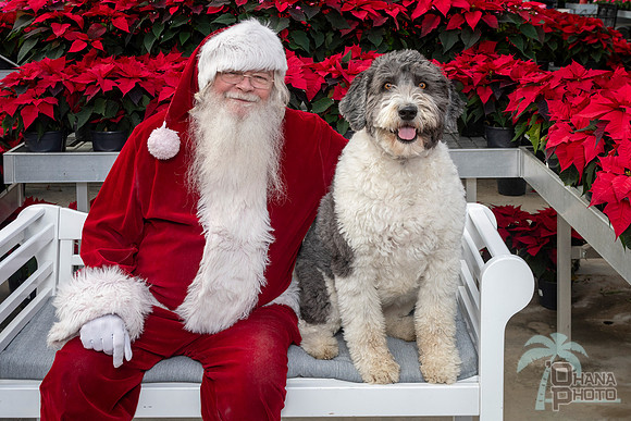 SantaPaws2025-0532