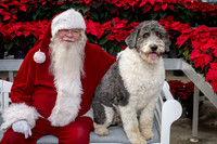 SantaPaws2025-0534