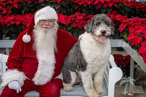 SantaPaws2025-0534