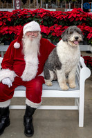 SantaPaws2025-0536