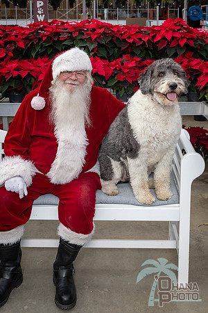 SantaPaws2025-0536