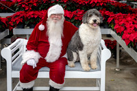 SantaPaws2025-0535