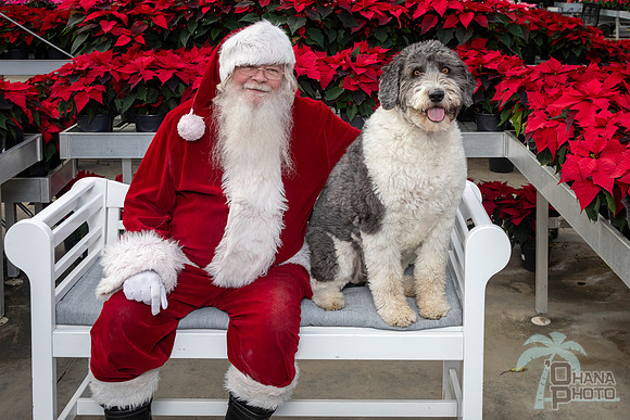 SantaPaws2025-0535
