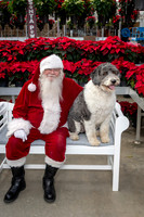 SantaPaws2025-0537