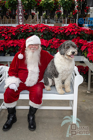 SantaPaws2025-0537