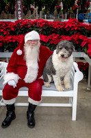 SantaPaws2025-0538