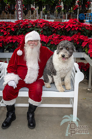 SantaPaws2025-0538