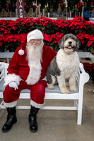 SantaPaws2025-0540
