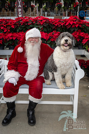SantaPaws2025-0540