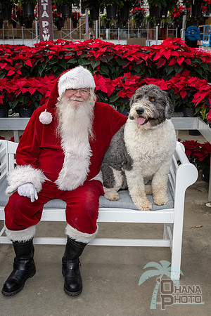 SantaPaws2025-0539