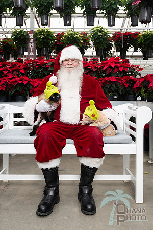 SantaPaws2025-0627