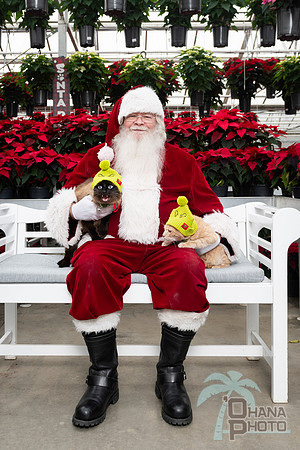 SantaPaws2025-0626