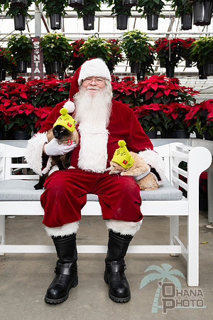 SantaPaws2025-0624