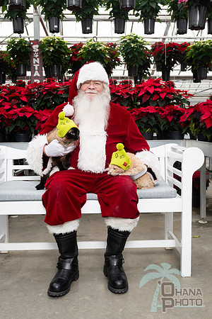 SantaPaws2025-0625