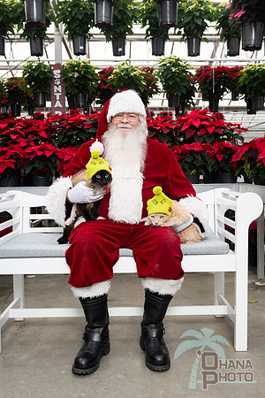 SantaPaws2025-0629
