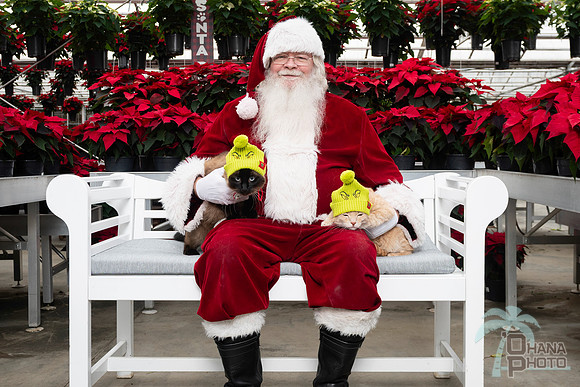 SantaPaws2025-0633