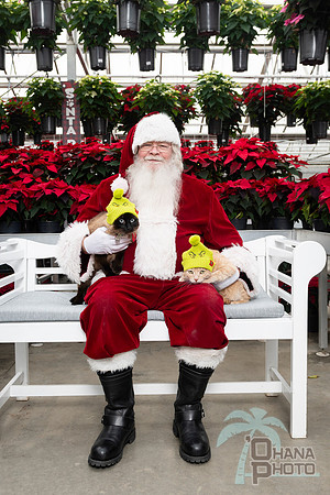 SantaPaws2025-0630