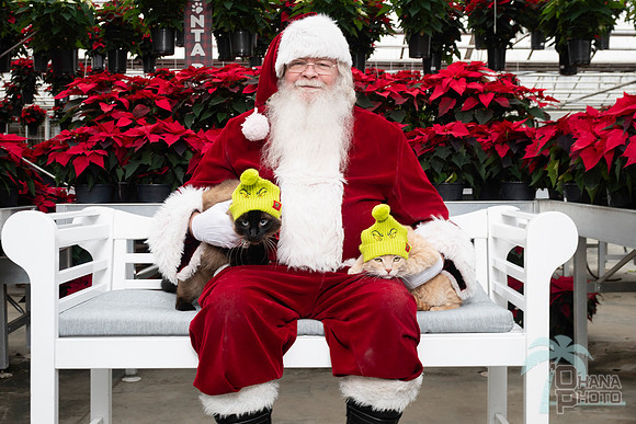 SantaPaws2025-0632