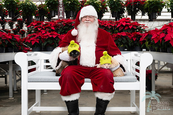 SantaPaws2025-0634