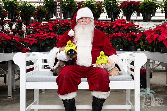 SantaPaws2025-0635