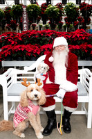 SantaPaws2025-0660