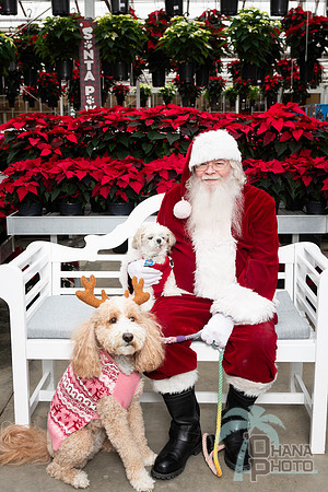 SantaPaws2025-0660