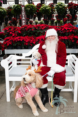 SantaPaws2025-0663