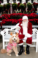 SantaPaws2025-0661